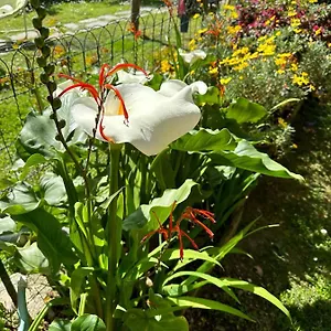 Bilocale Olivi Con Giardino E Posto Auto Privato Appartamento